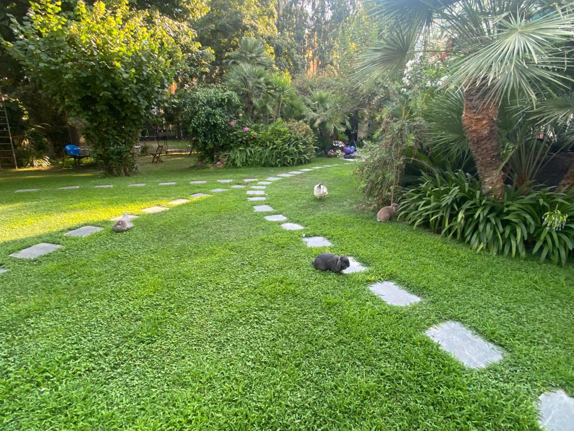 Villa Angelina Casa Limone Vallecrosia Ngoại thất bức ảnh